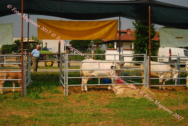 DSC_5009.JPG